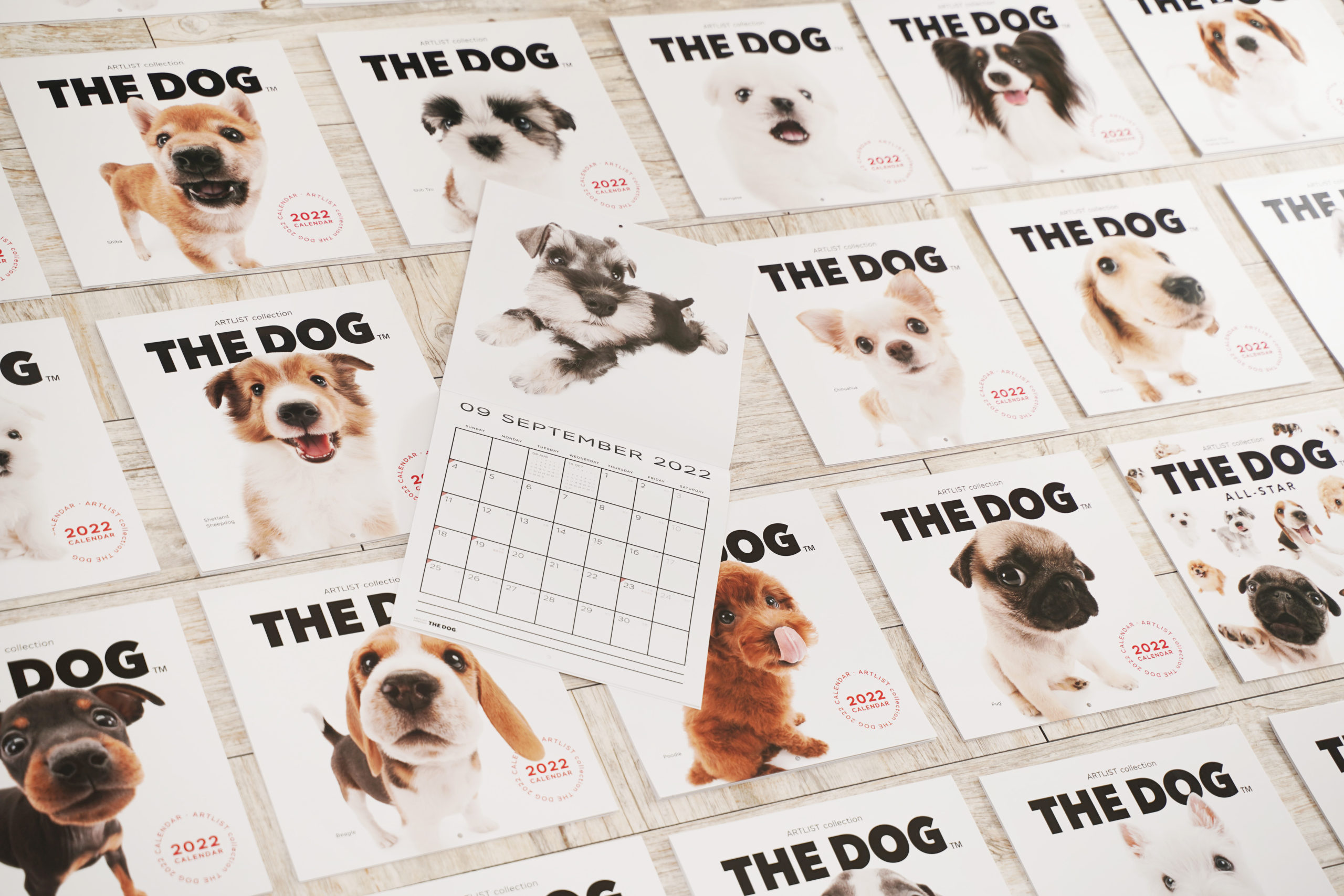 THE DOG 2022 Calendars are available for purchase even from outside